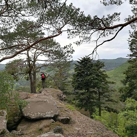 L'Ours Vert Baerenthal Eksteriør bilde